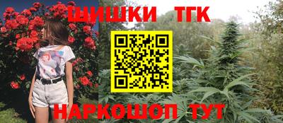 молекула духа Партизанск